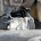 #21636-•-1997-peterbilt-379-semi-sleeper-truck-image-30
