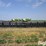 2019-claas-convio-1230-image-2