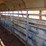 20'x6'-gooseneck-stock-trailer,-covered-image-9