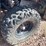 2015-polaris-ranger-image-30