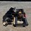wolverine-skidsteer-auger-drive-&-bits-image-1