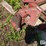anhydrous-hitch-&-3-pt-hitch-image-13