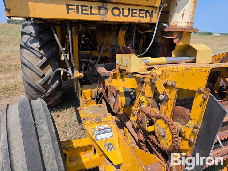 field-queen-7600-image-18