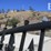 7'-x-20'-bi-parting-driveway-farm-gate-image-3