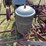 mccormick-deering-two-row-planter-image-12