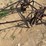 international-harvester-221-mounted-cultivator-image-12