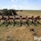 krause-4606-r3-image-6