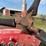 massey-ferguson-444-image-37