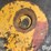 vermeer-605-image-9