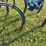 international-harvester-no.-9-field-cultivator-image-20
