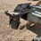 tire-dolly-image-12