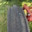 farmall-340-gas-with-loader-image-16