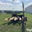 john-deere-3960-image-2