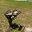 wacker-neuson-bs60-2i-image-14