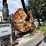 1987-peterbilt-379-image-31
