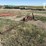case-ih-1300-image-3