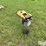 wacker-neuson-bs60-2i-image-2