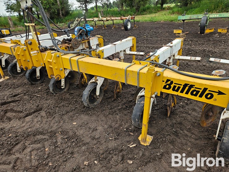 buffalo-6300-image-12