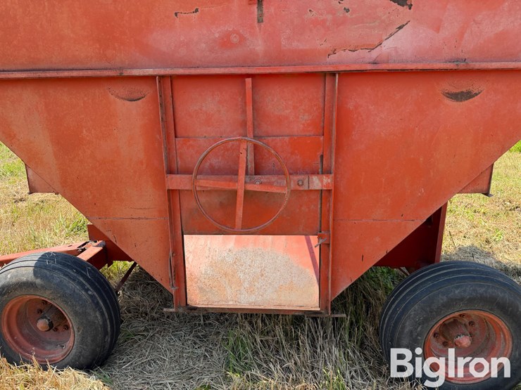 dmi-big-little-image-19