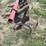 international-harvester-34-461-fast-hitch-mounted-cultivator-image-6
