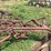 international-harvester-two-bottom-pull-type-moldboard-plow-image-11
