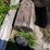 telephone-poles-image-19