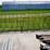 26'x7.5'-hay-feeder-wagon-w/no-gear-image-2