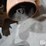 assorted-pto-shafts-image-9