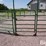 big-valley-corral-image-9
