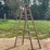 8'-wooden-folding-steep-ladder-image-1