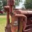 farmall-f-30-image-12