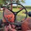 massey-ferguson-44-image-35