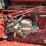 farmall-1566-turbo-image-52