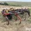 krause-271-image-7