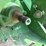 john-deere-9100-image-13