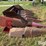 case-ih-1063-image-4