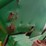 1978-john-deere-2040-image-66
