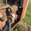 international-650-image-11
