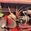 farmall-200-image-24