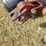 sr-15-rhino-batwing-mower,-15',-clevis-hitch-image-3