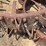 (2)-steel-wheels-image-5