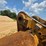 2023-caterpillar-374-image-130