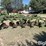 john-deere-5-image-5