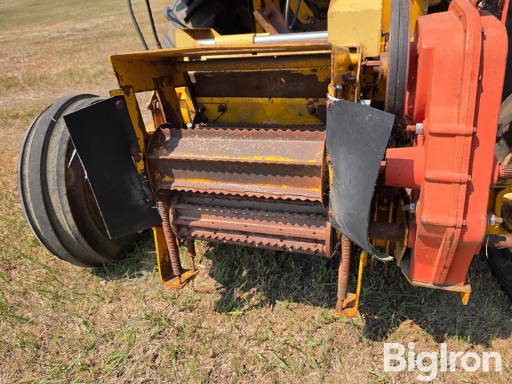 field-queen-7600-image-16