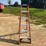 6'-fiberglass-folding-step-ladder-image-2