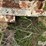 symons-3-image-11
