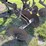 landoll-1603s-30-image-13