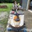 crown-wp2335-45-image-6