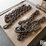 log-chains-image-4