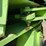 #2003-•-steiger-tractor-st300-(offsite-in-el-paso)-image-22